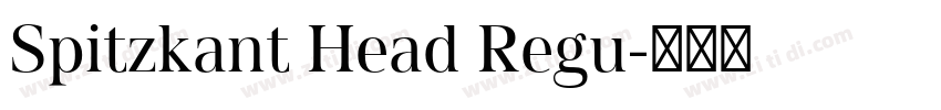 Spitzkant Head Regu字体转换 Spitzkant Head Regu字体转换